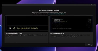 Windows-Entwicklungsumgebung auf einem PC – offizielles Microsoft-Developer-Motiv