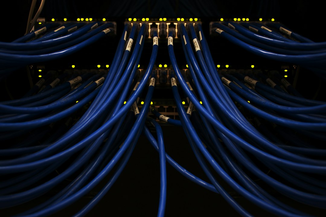 Netzwerkkabel als Symbolbild für den sicheren Kanal zwischen Windows-PC und Domäne